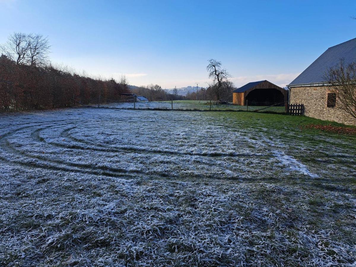 Gite L'Olivier A Filly - Nadrin, Entre Houffalize Et La Roche-En-Ardenne Екстер'єр фото