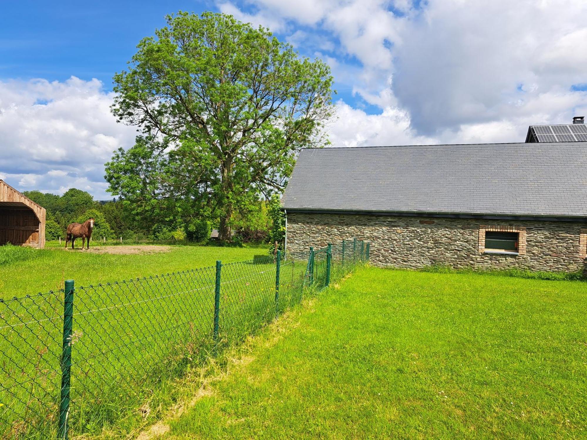 Gite L'Olivier A Filly - Nadrin, Entre Houffalize Et La Roche-En-Ardenne Екстер'єр фото